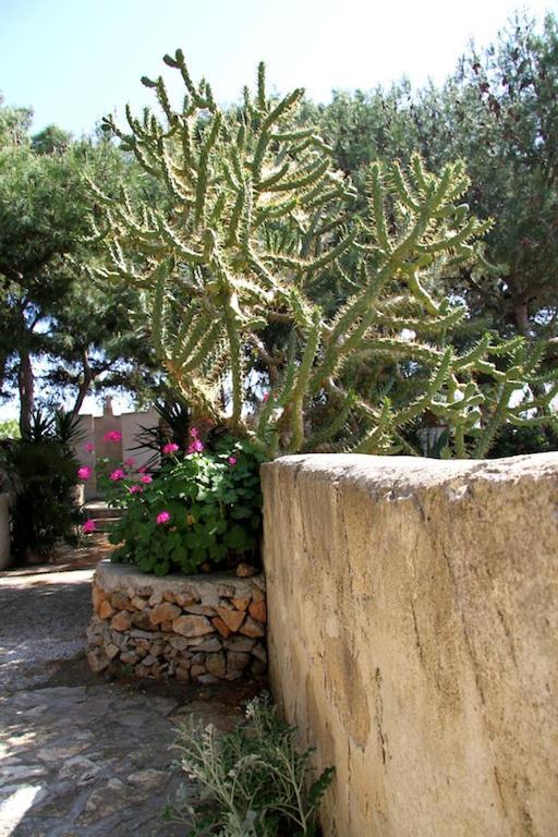 Il Giardino Della Falena Favignana Exterior foto